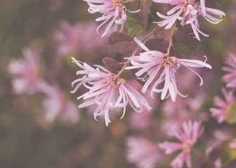 IMG_5888-2