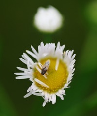 1049626