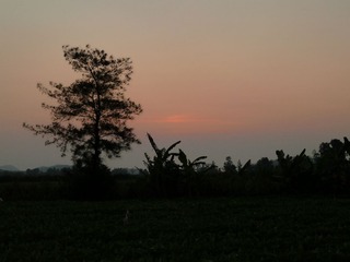P1040375.JPG