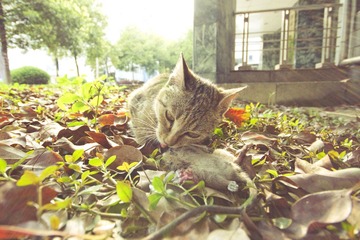 IMG_9684.jpg