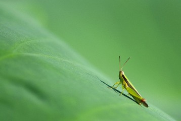 IMGP3407.JPG