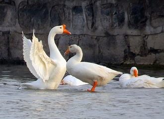 IMG_2035.JPG