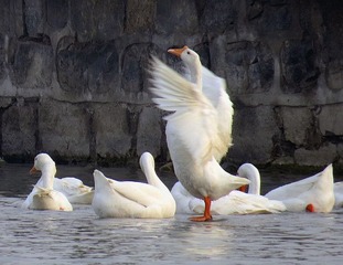 IMG_2039.JPG