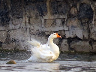 IMG_2045.JPG