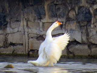 IMG_2046.JPG