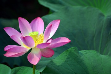 001