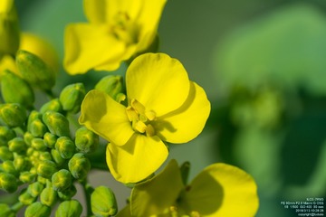 291616