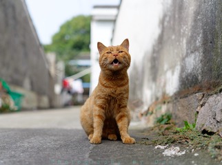 57579