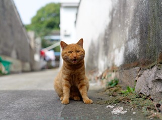 57581