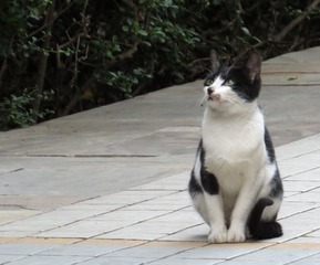 IMG_2293.jpg