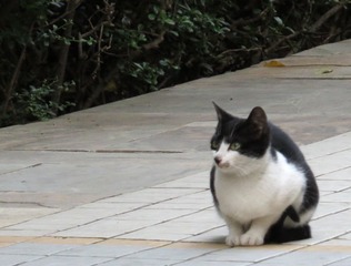 IMG_2295.jpg