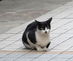 IMG_2302.jpg