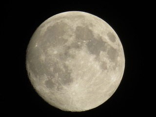 IMG_4142.JPG
