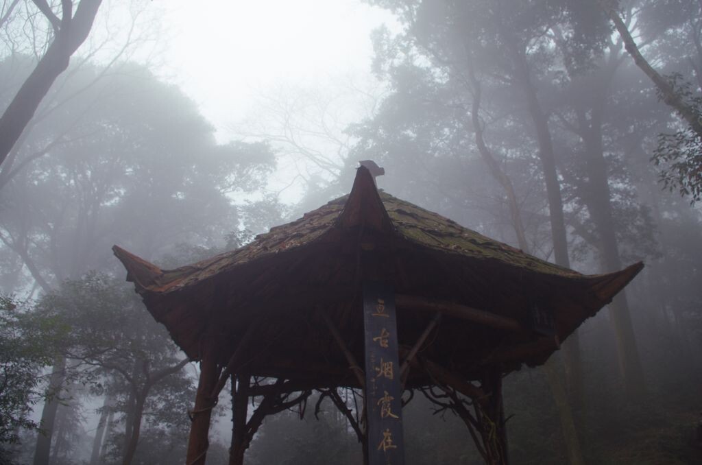 盘空树色凌云绿 亘古烟霞在眼中