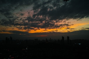 DP2M0113