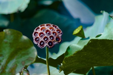 936
