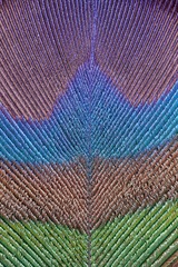 1000014893