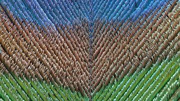 1000014800