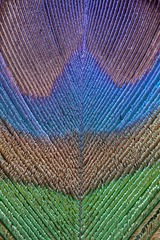 1000014796
