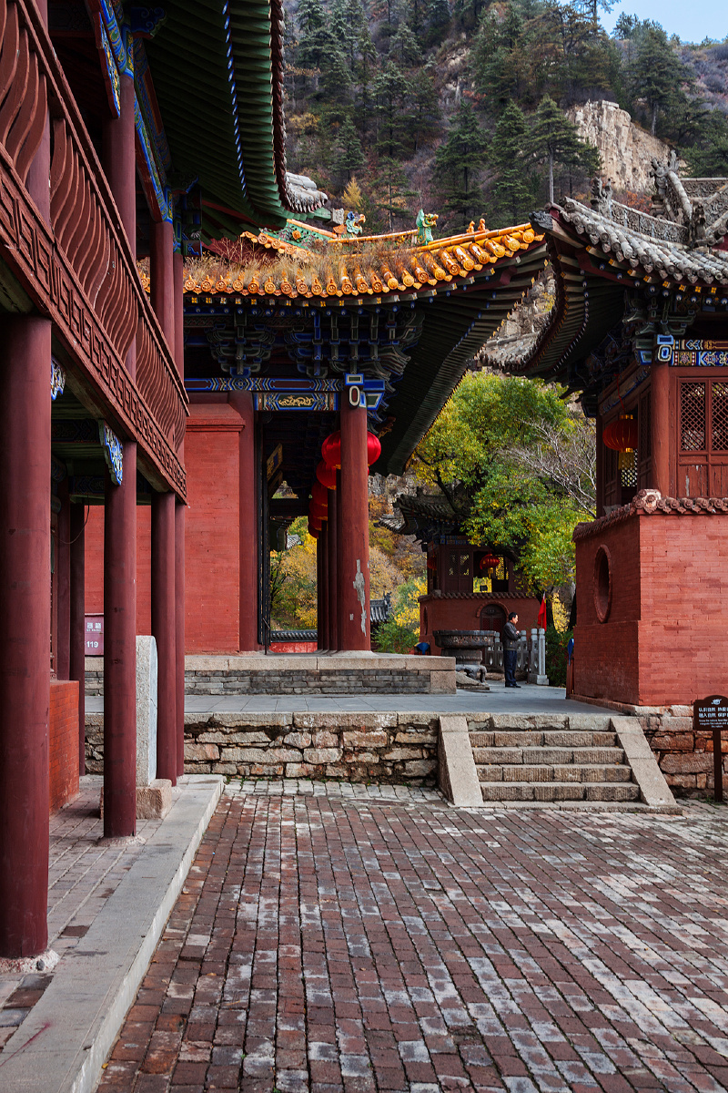 秋日北岳秋林簇道观