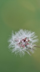 49A57CB7-89F5-4C23-9445-9B1322475531/L0/001