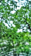 F5B72B6A-388E-475F-ABEE-8C02383B8A59/L0/001