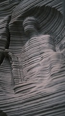 8954D372-41C2-45C8-B20D-BF3741E722FC/L0/001