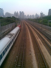 图像355.jpg