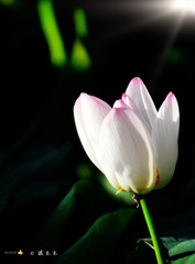 001