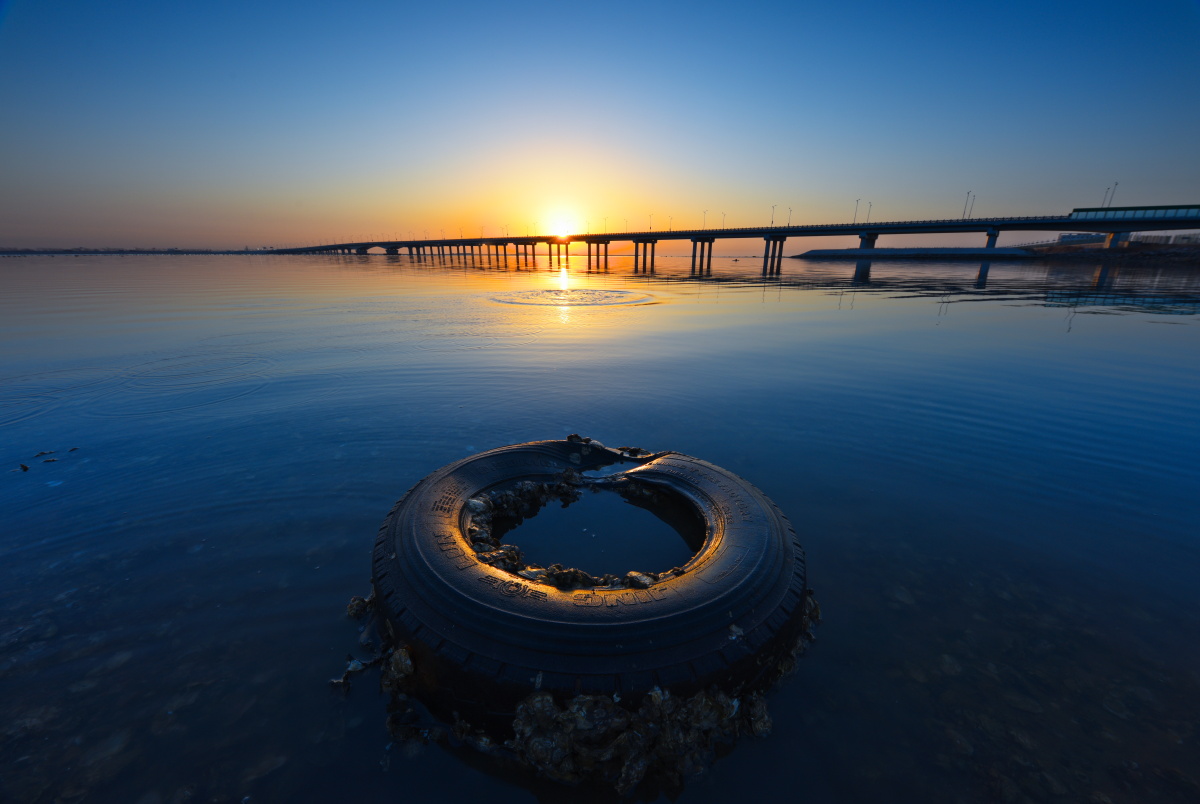 曹妃甸青龙河大桥