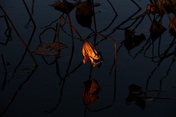 289729