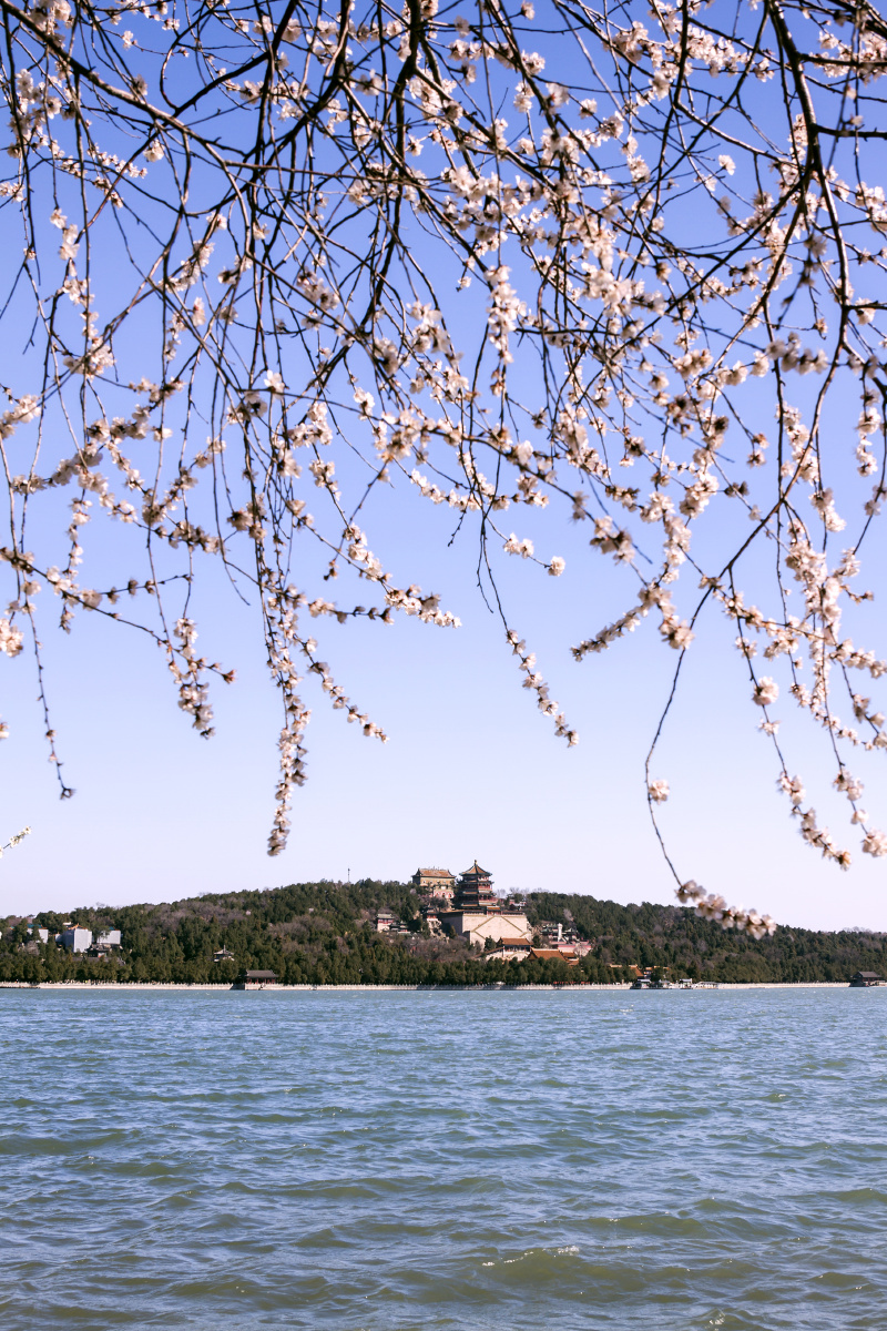 颐和园的春天