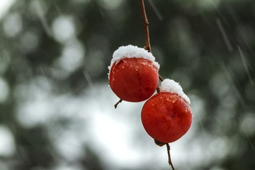IMG_5059a