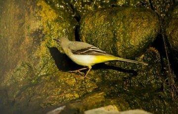 IMG_20181210_143503