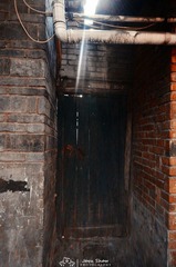 DSC_7026.jpg