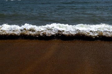 _DSC0105