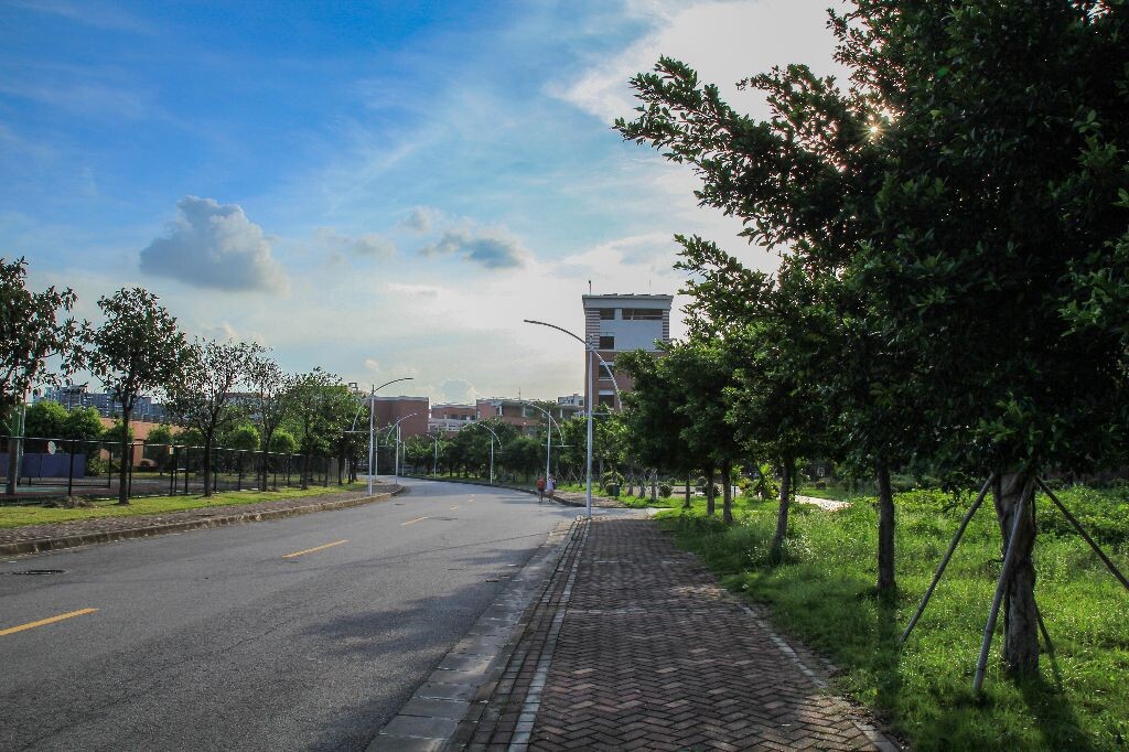 june 28th ，中大校道<br />
天气甚好，