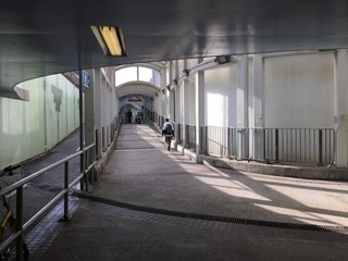 晨