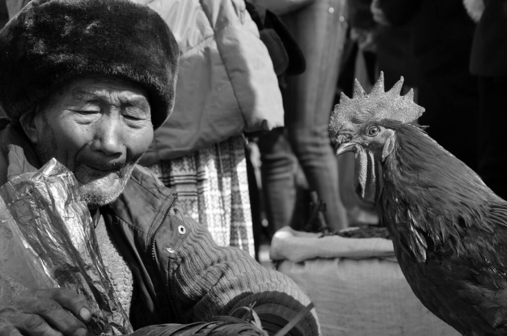 DSC_0103p2<br />
