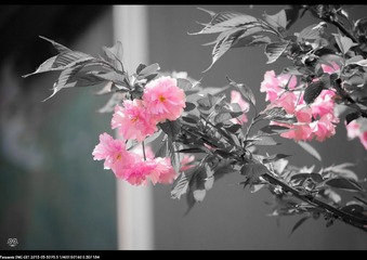 20130330-P1010891.jpg