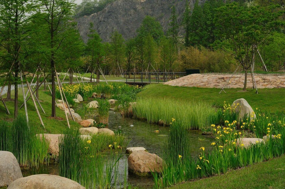 辰山植物园<br />
上海辰山植物园，60元的门票物有所值