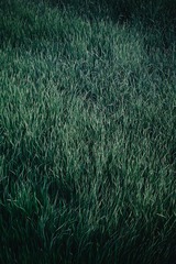 C62D95D4-8577-47C2-B69B-88E71264FE7E/L0/001