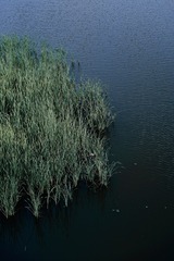 2A758284-9430-43C4-94DF-5C82FDD3B489/L0/001