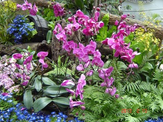 DSC01296.JPG