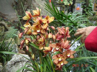 DSC01311.JPG