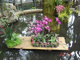 DSC01316.JPG