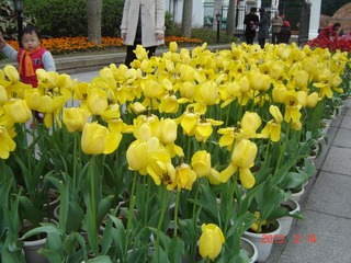 DSC01423.JPG