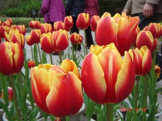 DSC01428.JPG