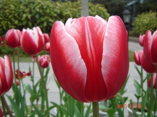 DSC01434.JPG