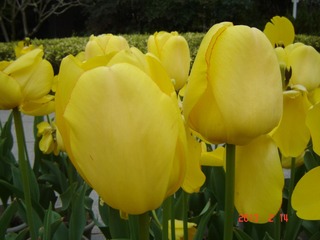 DSC01439.JPG